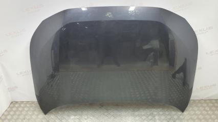 Капот Toyota RAV4 2019