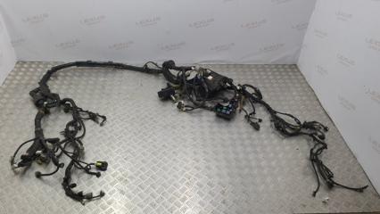 Проводка моторного отсека Lexus RX400h 2006
