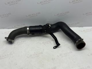 Патрубок интеркулера Land Rover Range Rover Velar 2019