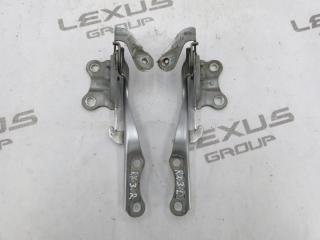 Петля капота передняя левая Lexus RX270 2010