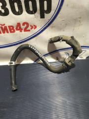 Фото запчасти шланг вакуумный Chevrolet Aveo 2007 Б/У запчасть Запчасть шланг вакуумный Chevrolet Aveo 2007