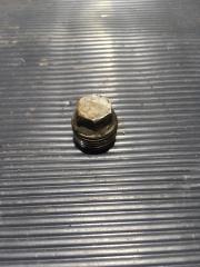 Запчасть сливная пробка Chevrolet Aveo 2008