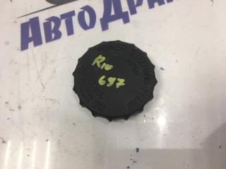 Фото запчасти крышка бачка гур Kia Rio 2004 Б/У запчасть Запчасть крышка бачка гур Kia Rio 2004
