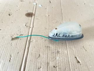 Запчасть фонарь габаритный левый Jac N120 2024