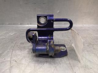 Петля двери задней левой нижняя Volkswagen Passat [B6] 2005-2010 2009 v37