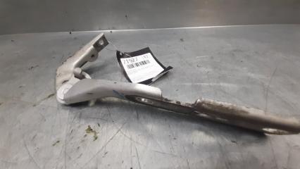 Петля капота правая AUDI A4 [B6] 2000-2004 2002 v42