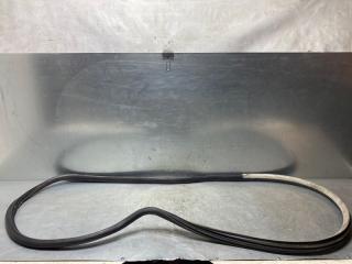 Уплотнитель двери передней правой Volkswagen Bora 1997-2005 1999 v49