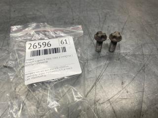 Болт Renault Laguna II 2001-2008 2003 v61