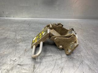 Петля двери задней левой нижняя Volkswagen Passat [B5] 1996-2000 1999 v39