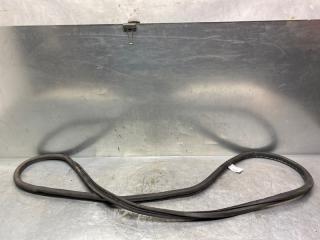 Уплотнитель двери задней Volkswagen Golf V 2003-2009 2007 v67