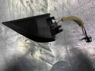 Крышка зеркала внутренняя правая Volkswagen Passat [B6] 2005-2010 2010 v69
