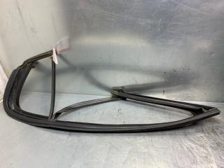 Уплотнитель стекла двери Volkswagen Passat [B6] 2005-2010 2010 v69