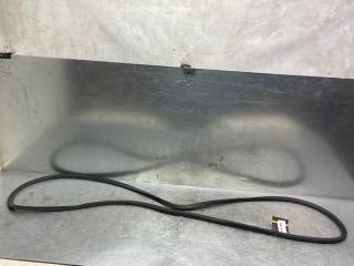 Уплотнитель (наружный) Volkswagen Passat [B6] 2005-2010 2010 v69