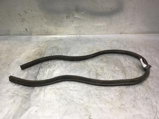 Уплотнитель (внутри) Volkswagen Passat [B6] 2005-2010 2009 v56