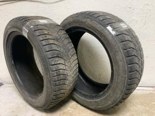 Комплект из 2-х Шина шипованная 205/55R16 ICEWAYS Lassa (б/у)