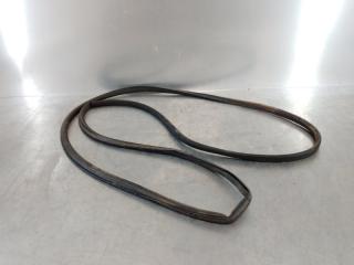 Уплотнитель (наружный) Volkswagen Passat [B6] 2005-2010 2009 v56