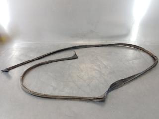 Уплотнитель двери SKODA Octavia (A5 1Z-) 2004-2013 2008 v116