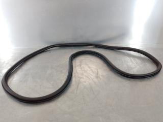 Уплотнитель двери SKODA Octavia RS (A7) 2013-2020 2016 v117