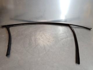 Направляющая стекла двери Volkswagen Tiguan 2007-2011 2010 v121