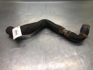 Патрубок радиатора SKODA Octavia (A5 1Z-) 2004-2013 2008 v116 контрактная Патрубок радиатора SKODA Octavia (A5 1Z-) 2004-2013 2008 v116