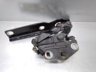 Петля капота правая Volkswagen Passat [B6] 2005-2010 2009 v131