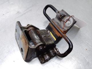 Петля двери передней правой нижняя Volkswagen Passat [B6] 2005-2010 2009 v131