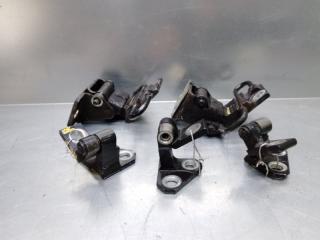 Петля двери Volkswagen Passat [B6] 2005-2010 2009 v131
