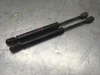 Амортизатор двери багажника A6 [C5] (1997-2004)