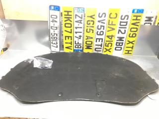 Шумоизоляция капота Volkswagen Passat [B6] 2005-2010 2009 v131