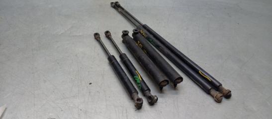 Амортизатор капота BMW X5 E53 2003 v24