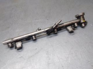 Рейка топливная (рампа) Volkswagen Passat [B5] 2000-2005 2002 v130