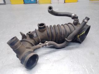 Патрубок воздушного фильтра Volkswagen Passat [B5] 2000-2005 2002 v130