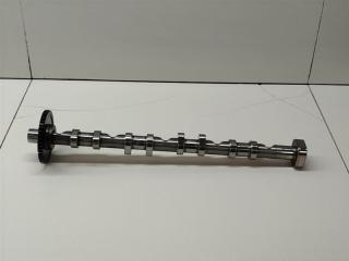 Распредвал выпускной Volkswagen Tiguan 2007-2011 2008 v129