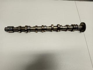 Распредвал выпускной SKODA Octavia рест (A5 1Z-) 2004-2013 2012 v120