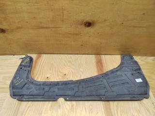 Защита двигателя NISSAN BLUEBIRD SYLPHY 2006