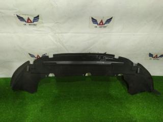 Защита бампера передняя Ford Focus 2004-2008
