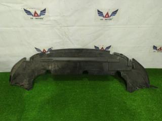 Защита бампера передняя Ford Focus 2004-2008