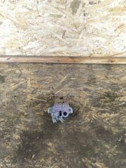 Фото запчасти замок багажника Volkswagen Tiguan Б/У запчасть Запчасть замок багажника Volkswagen Tiguan