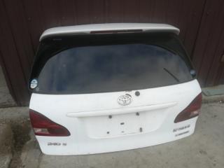 Дверь багажника TOYOTA IPSUM 2002