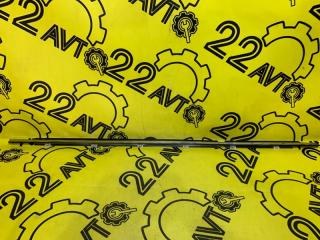 Молдинг стекла (на дверь) задний левый Toyota Camry 2003 контрактная Молдинг стекла (на дверь) задний левый Toyota Camry 2003