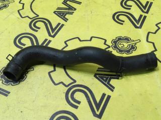 Патрубок радиатора нижний Nissan Primera 2001 контрактная Патрубок радиатора нижний Nissan Primera 2001