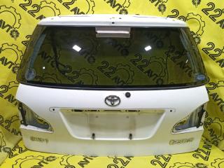 Дверь задняя Toyota Ipsum 2002